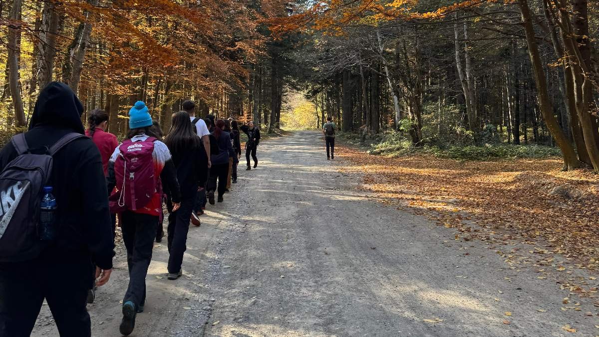 Participanți care parcurg un traseu prin pădure
