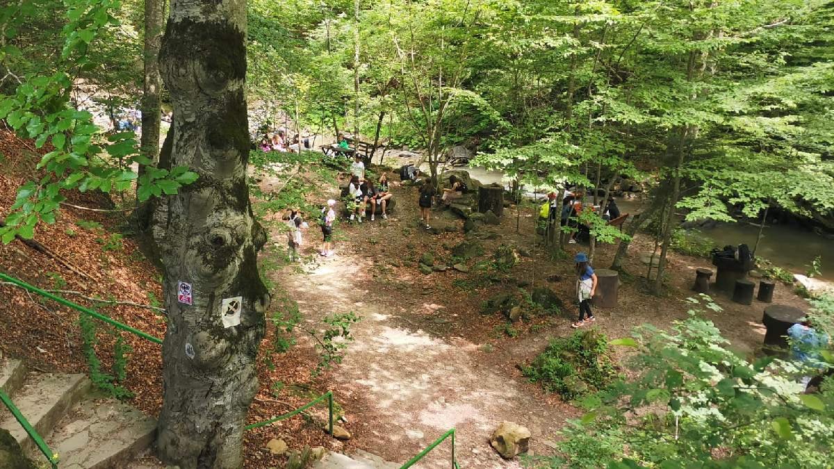 Grup de participanți într-o activitate desfășurată în pădure