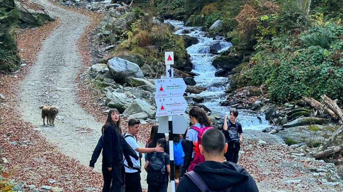 Activitate de orientare și coordonare lângă un pârâu montan