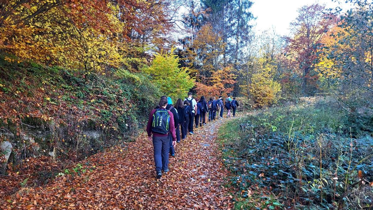 Participanți care merg împreună pe o potecă de pădure